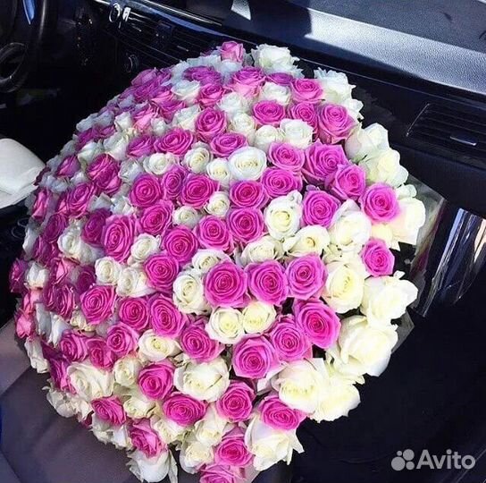 Розы букет 101,51, 25 шт. Доставка круглосуточно