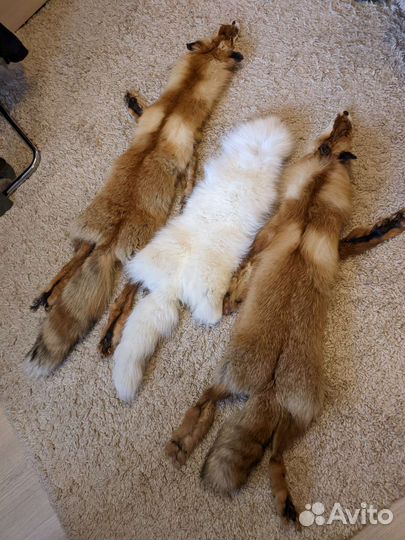 Шкуры лисы и песца (чулок)