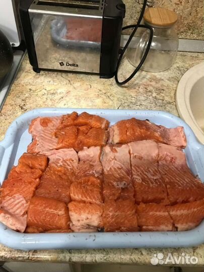 Форель радужная привозим 24 августа