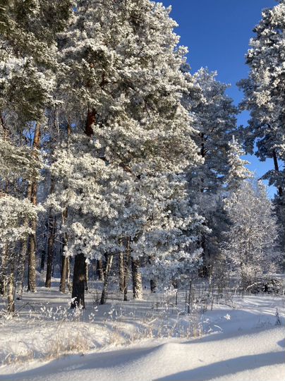 Участок 9 сот. (ИЖС)