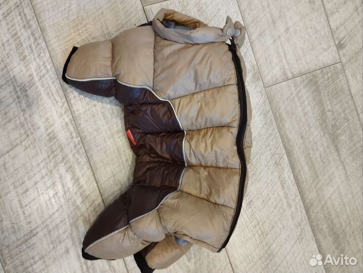 Одежда для собак