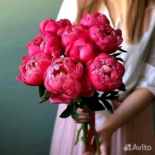 Пионы Букет цветов Доставка Ижевск