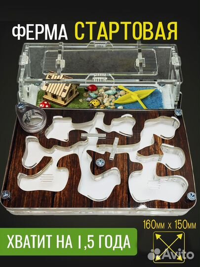 Муравьиная ферма