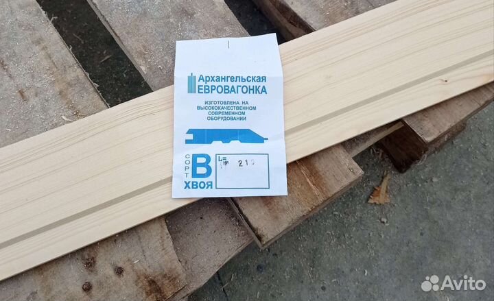 Собачья будка