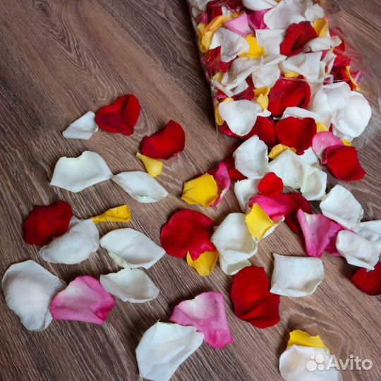 Лепестки роз