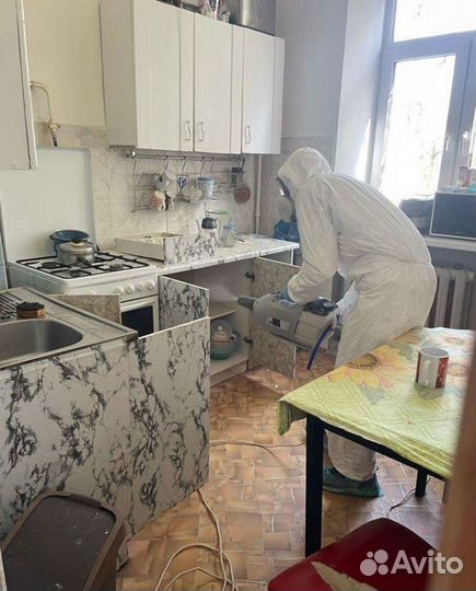 Уничтожение клопов.тараканов.дезинфекция