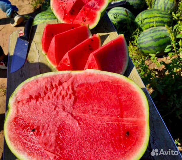 Семена арбуза Биг Бой F1