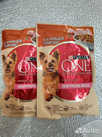 Влажный корм для собак