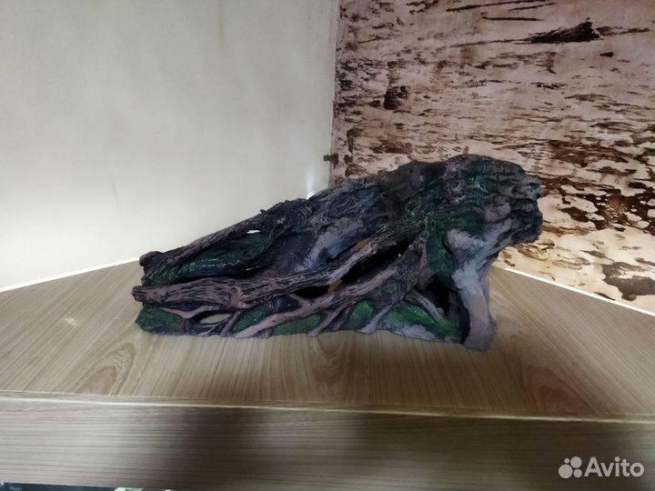 Грот- коряга