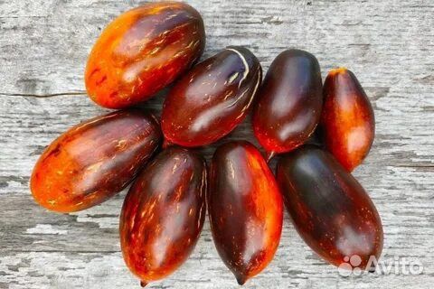 Семена томатов серии Гном