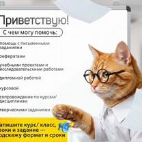 Школьный и индивидуальный проект для колледжа, Каменка