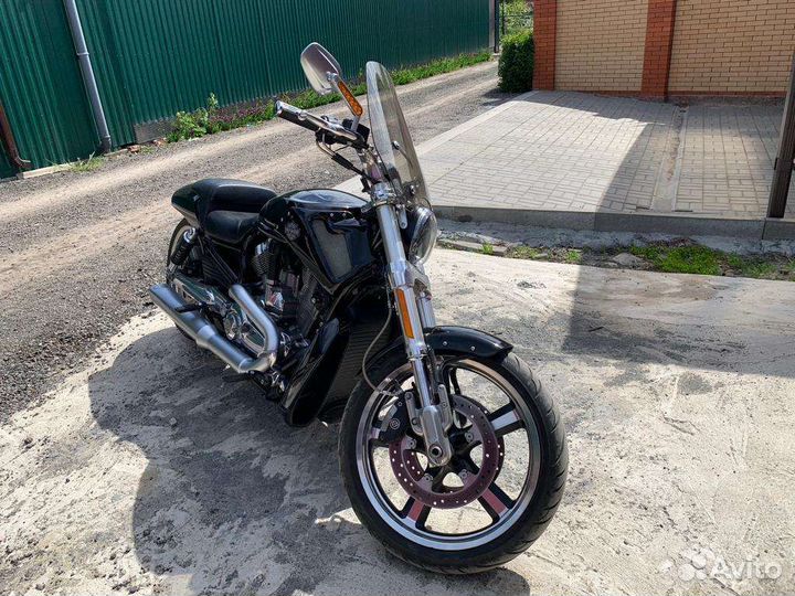 Продаю Harley Davidson v-rod Muscle