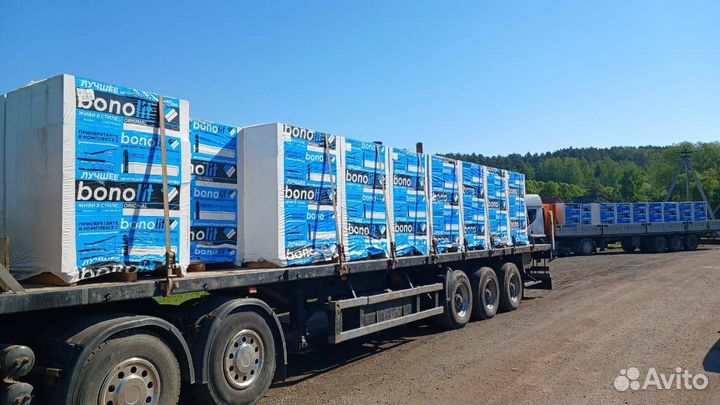 Газоблок 250