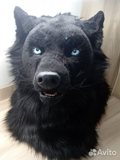 Фурсьют волка