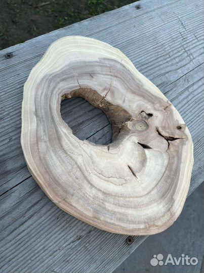 Спил из карагача