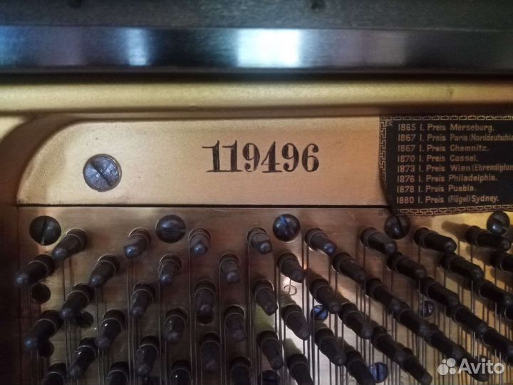 Пманино Блютнер