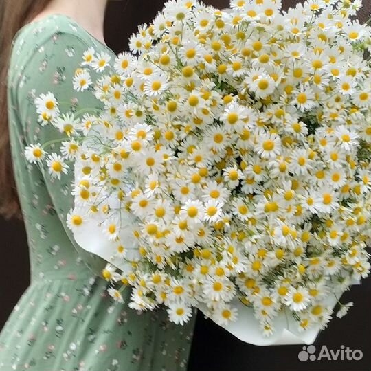 Букет ромашек