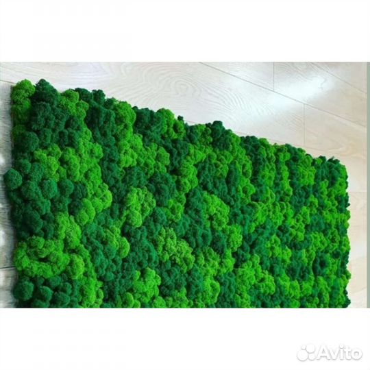 Фитопанели Мох Стабилизированный Декор