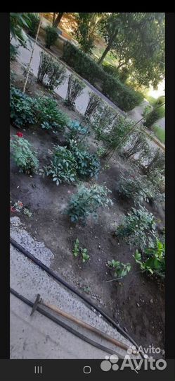 Уборка территории