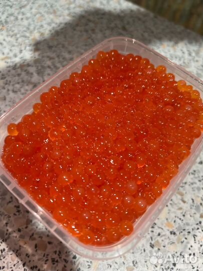 Красная икра горбуши 2023