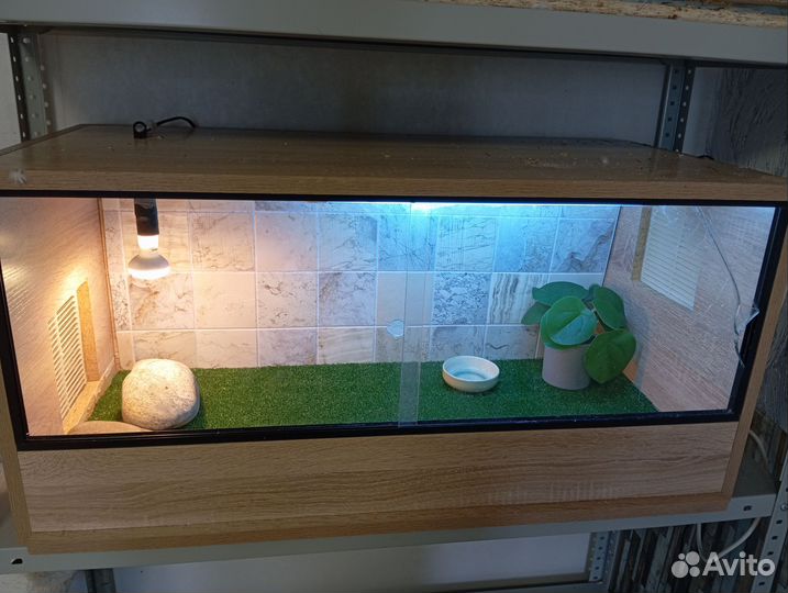 Террариум для рептилий
