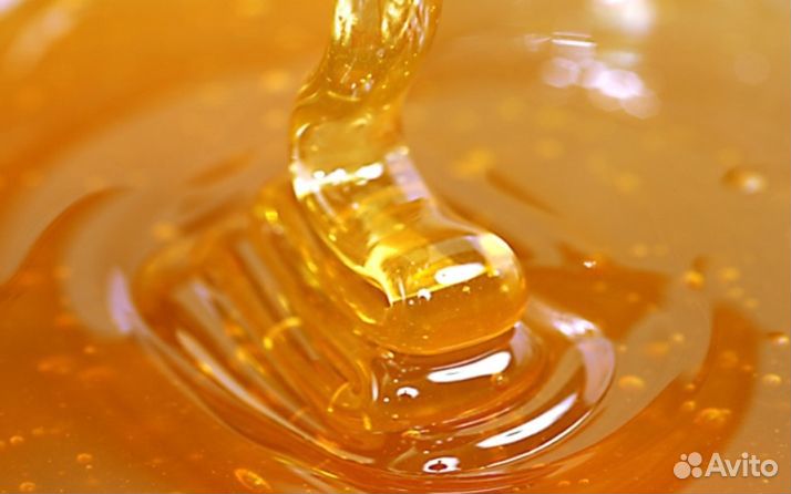 Мед натуральный с Алтая опт от 16кг