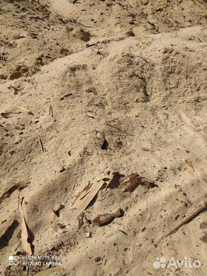 Опилки бесплатно самовывоз