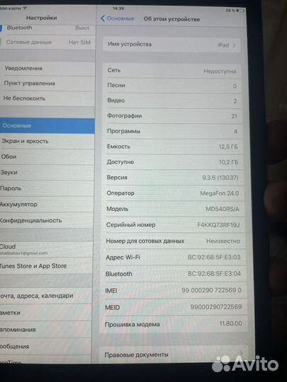 iPad mini (Wi-Fi + Cellular, MM)