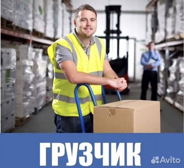 Грузчик вахта 15 смен г.Владимир