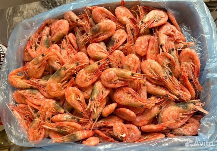 Креветки серверные 90/120