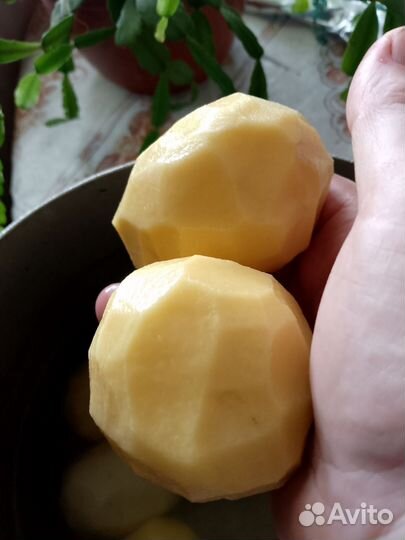 Продукты питания