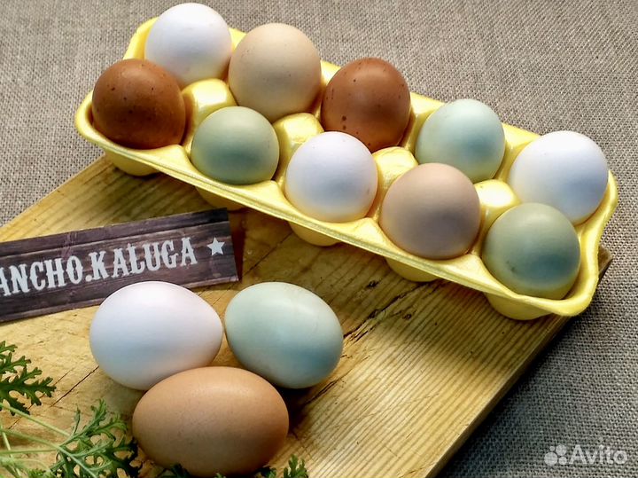 Яйца Домашние Куриные