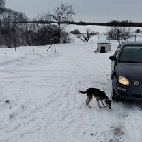 Дом 118 м² на участке 12 сот.