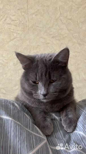 Детские вещи пакетом