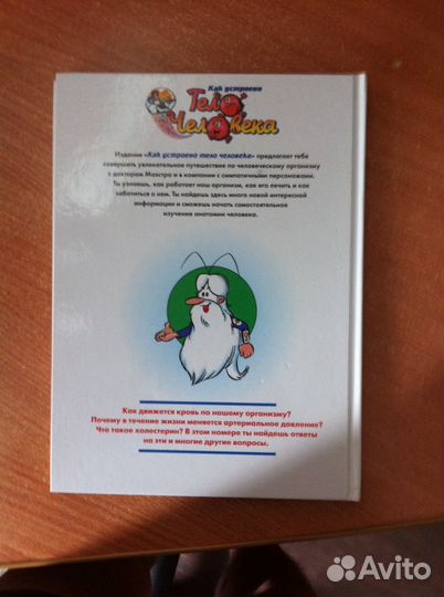 Тело человека (Кровообращение)