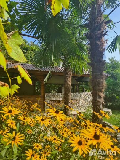 Отдых Лазаревское