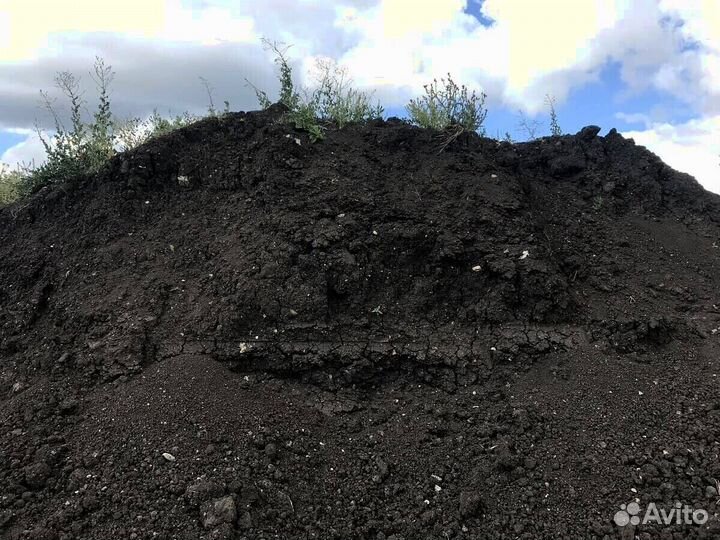Чернозем быстрая доставка