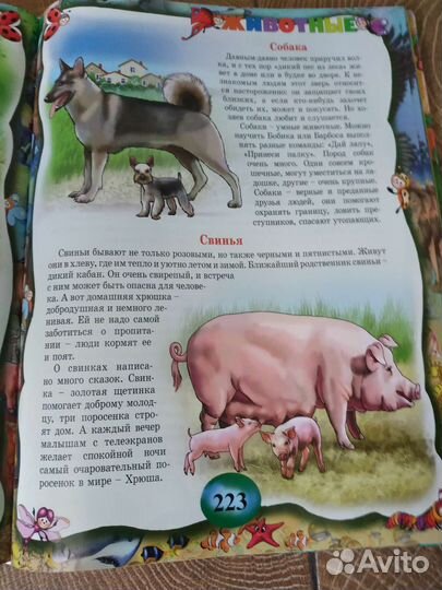 Большая энциклопедия дошкольника