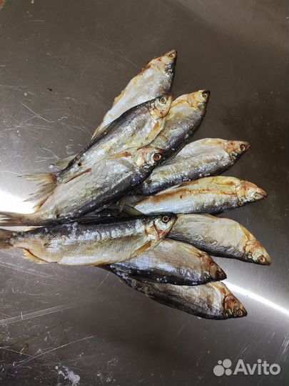 Пелядь вяленая и холодного копчения