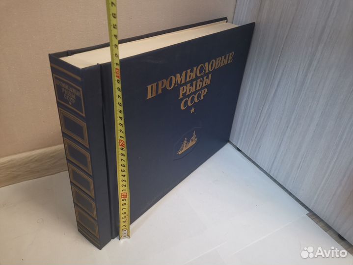 Промысловые рыбы СССР, Атлас, 1949г
