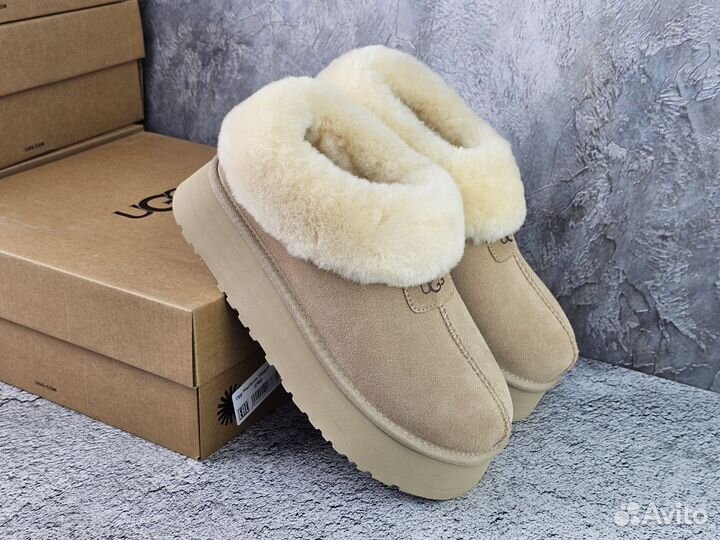 Ugg mate revival/ ugg slipper platform+4 расцветок