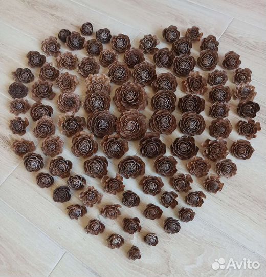 Шишки гималайского кедра, семена