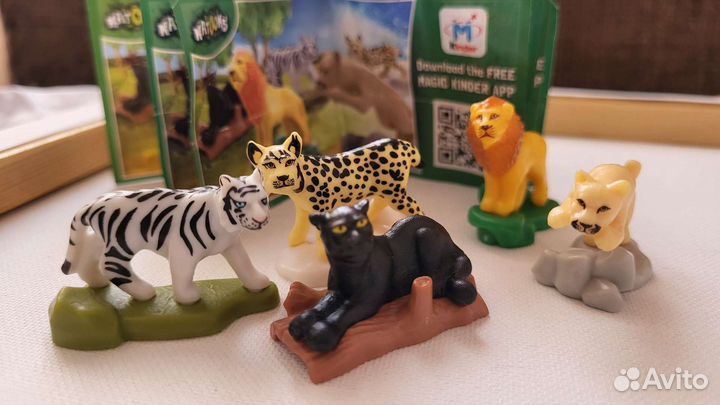 Серия дикие кошки натунс 2015 год