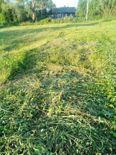 Участок 15,5 сот. (ИЖС)