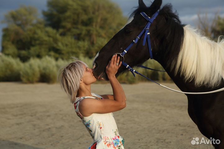 Прокат лошадей/Конные прогулки/Фотосессии