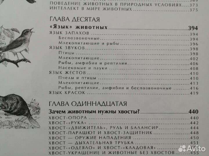 Энциклопедия 