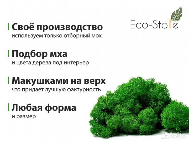 Часы из мха деревянная рамка antara