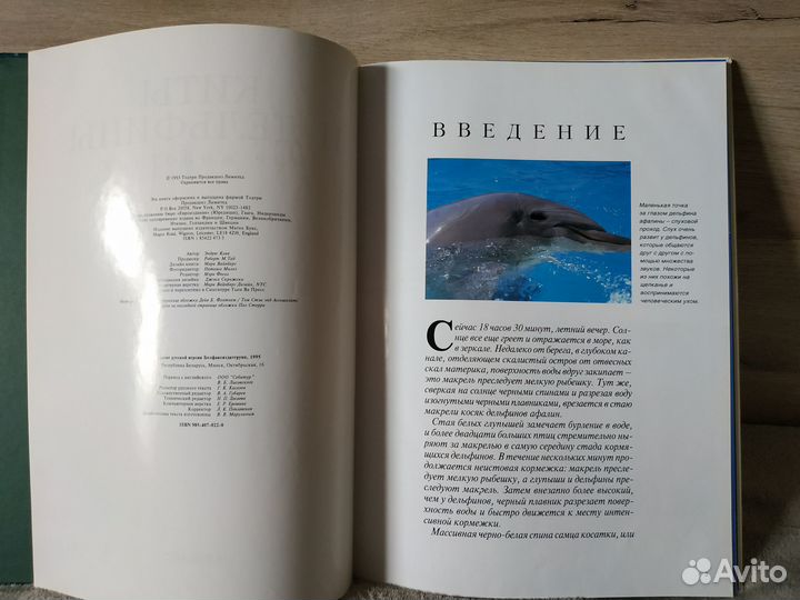 Серия Мир животных. Киты и дельфины