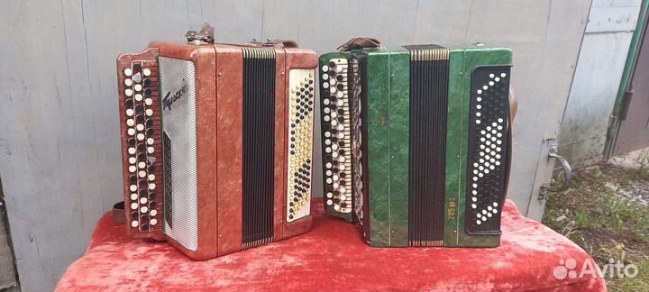 Баян тульский