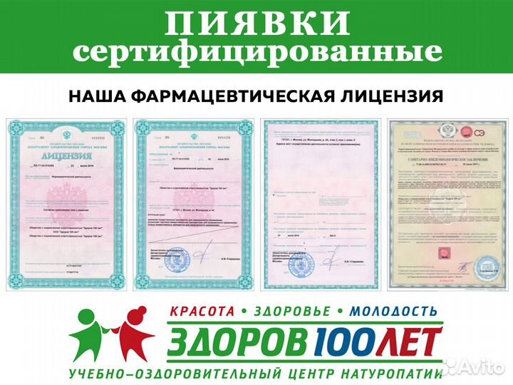 Пиявки сертифицированные доставка самовывоз